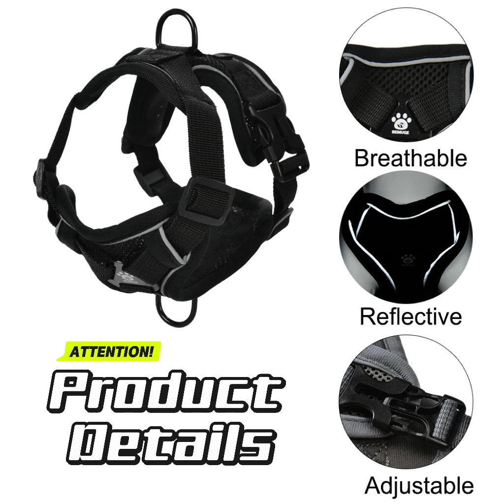🐶 Adjustable Reflective Dog & Cat Harness Set  Leash for Small & Medium Pets