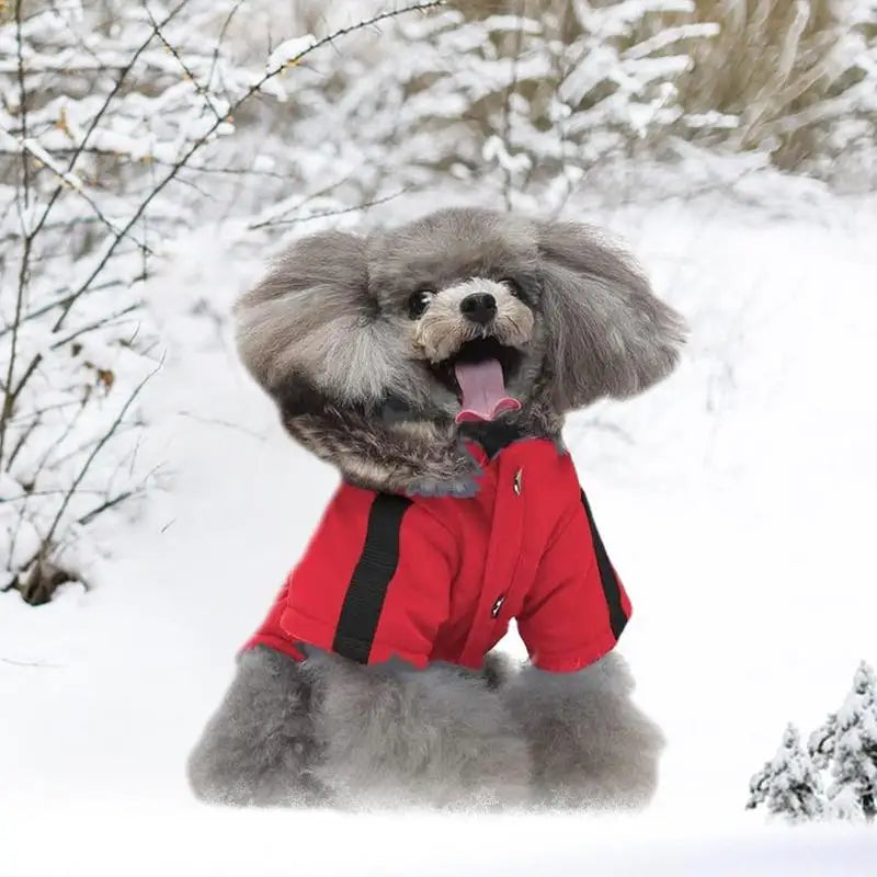 Chaqueta Acolchada con Capucha para Perros Pequeños  Invierno Cálido