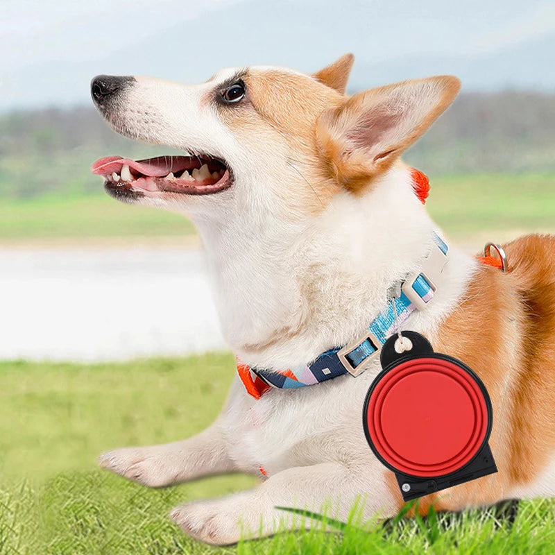 Foldable 2-in-1 Pet Bowl Portable Food & Water Tray for Dog