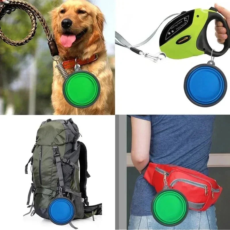 🐾 Foldable 350mL Pet Bowl  Portable Dog Travel Accessory