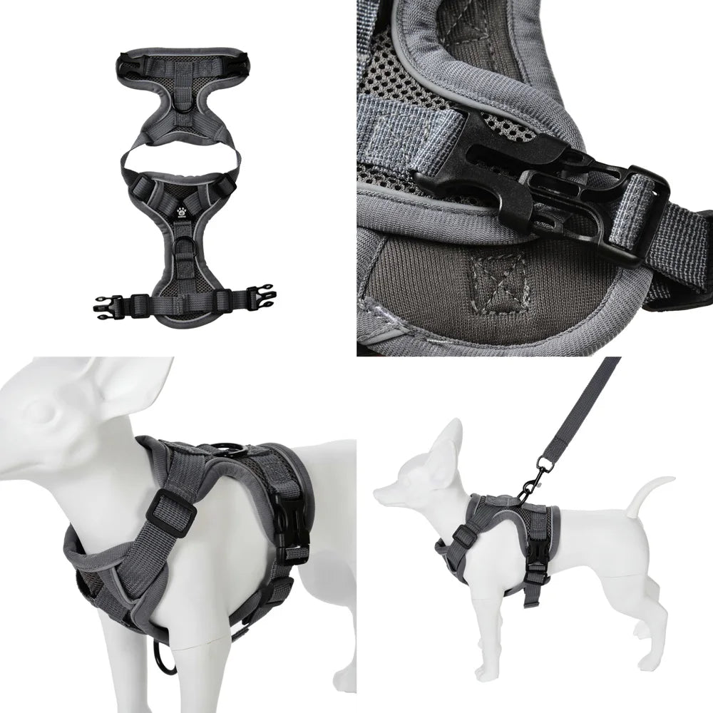 🐶 Adjustable Reflective Dog & Cat Harness Set  Leash for Small & Medium Pets