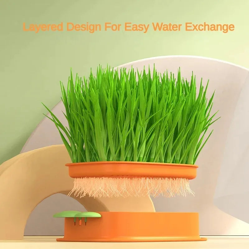 "Cat Grass Hydroponic Planter for Healthy Growth & Digestion"