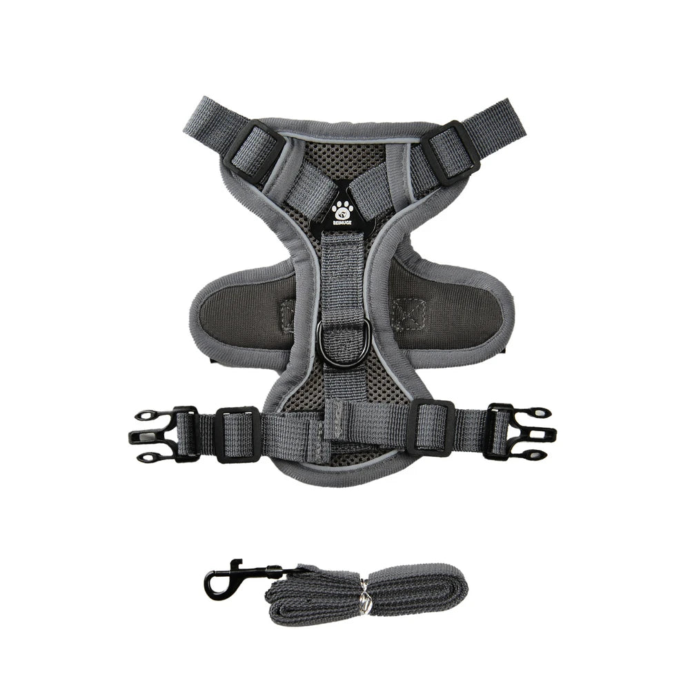 🐶 Adjustable Reflective Dog & Cat Harness Set  Leash for Small & Medium Pets