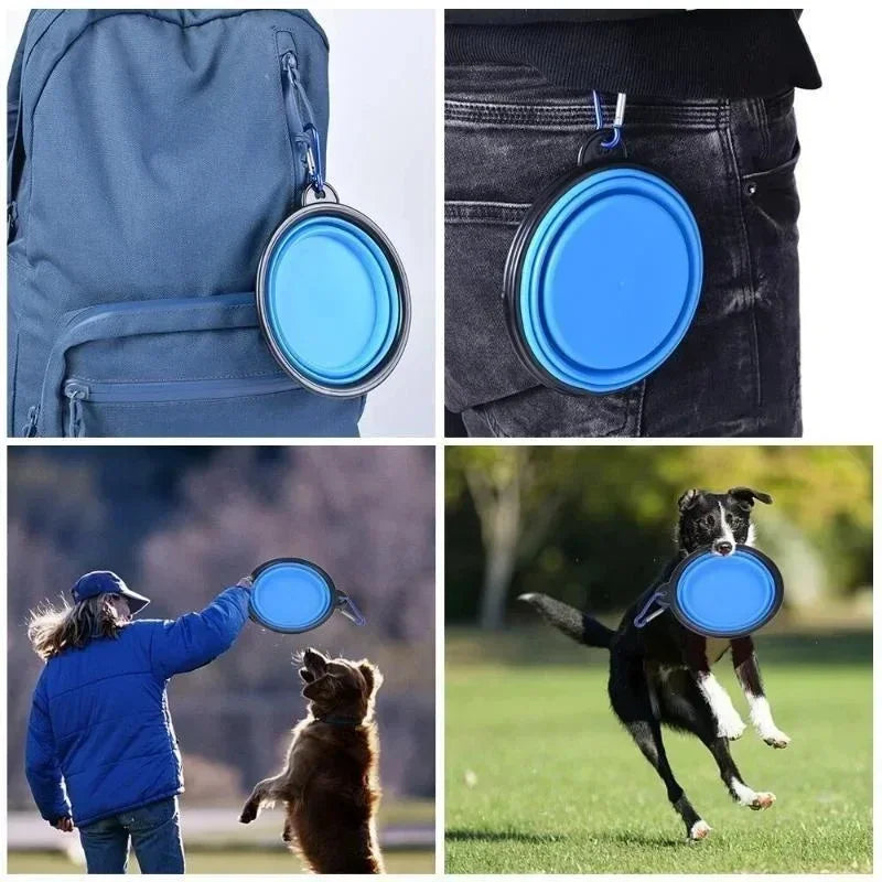 🐾 Foldable 350mL Pet Bowl  Portable Dog Travel Accessory