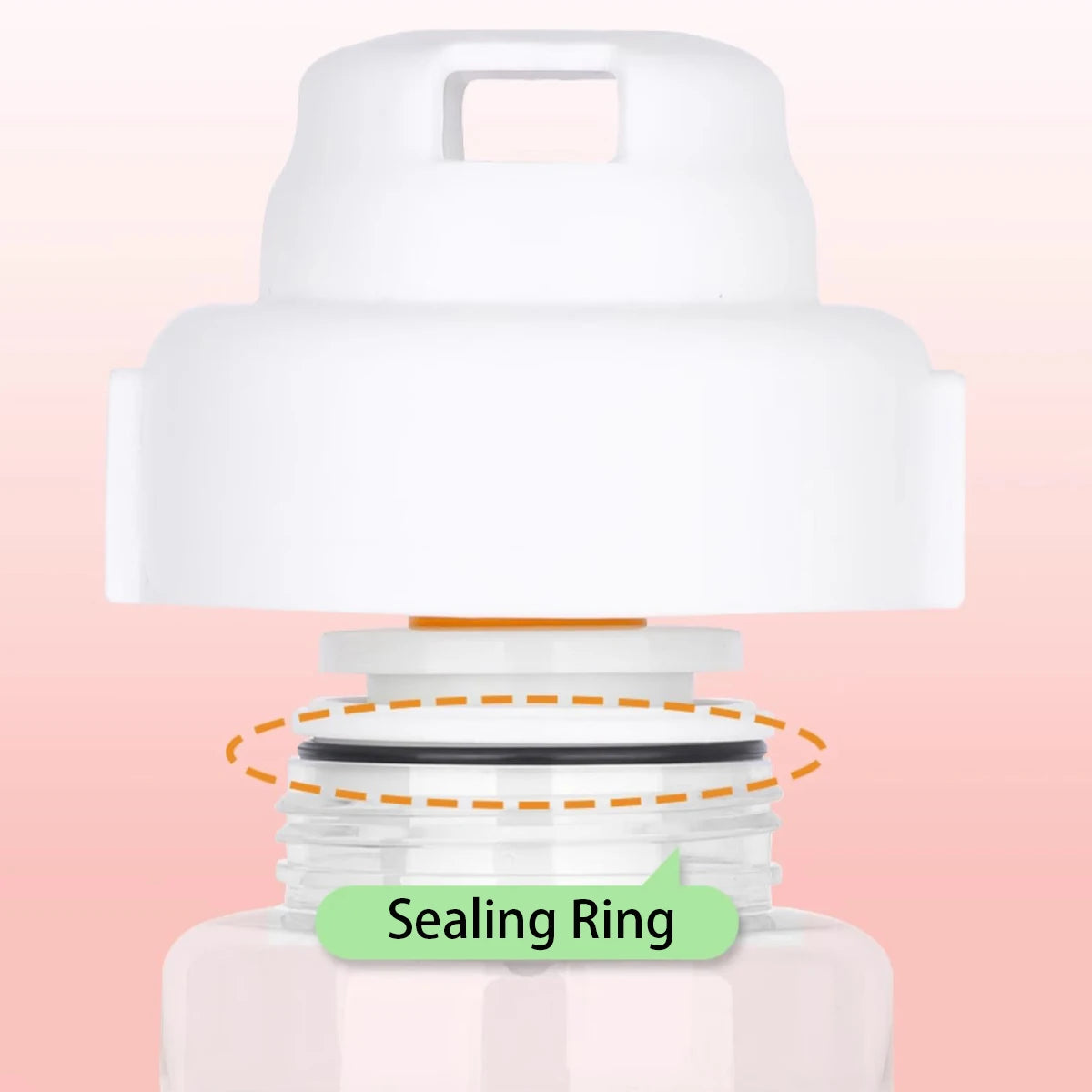 Foldable Food & Water Container