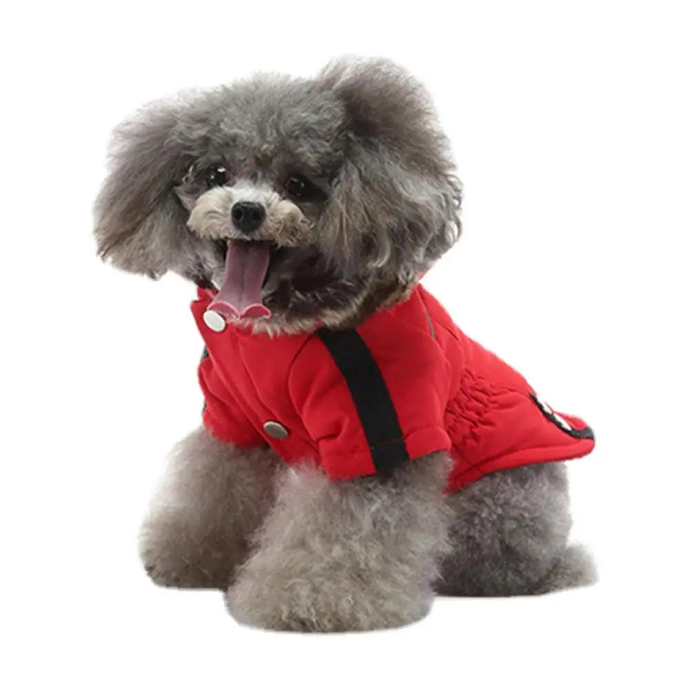 Chaqueta Acolchada con Capucha para Perros Pequeños  Invierno Cálido
