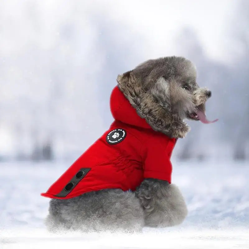 Chaqueta Acolchada con Capucha para Perros Pequeños  Invierno Cálido